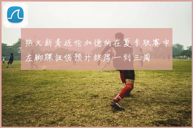 热火新秀迈伦加德纳在夏季联赛中左脚踝扭伤预计缺席一到三周