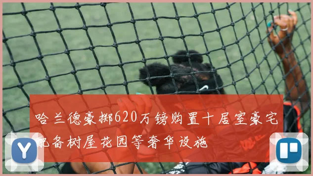 哈兰德豪掷620万镑购置十居室豪宅配备树屋花园等奢华设施